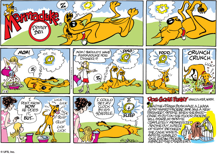 marmaduke